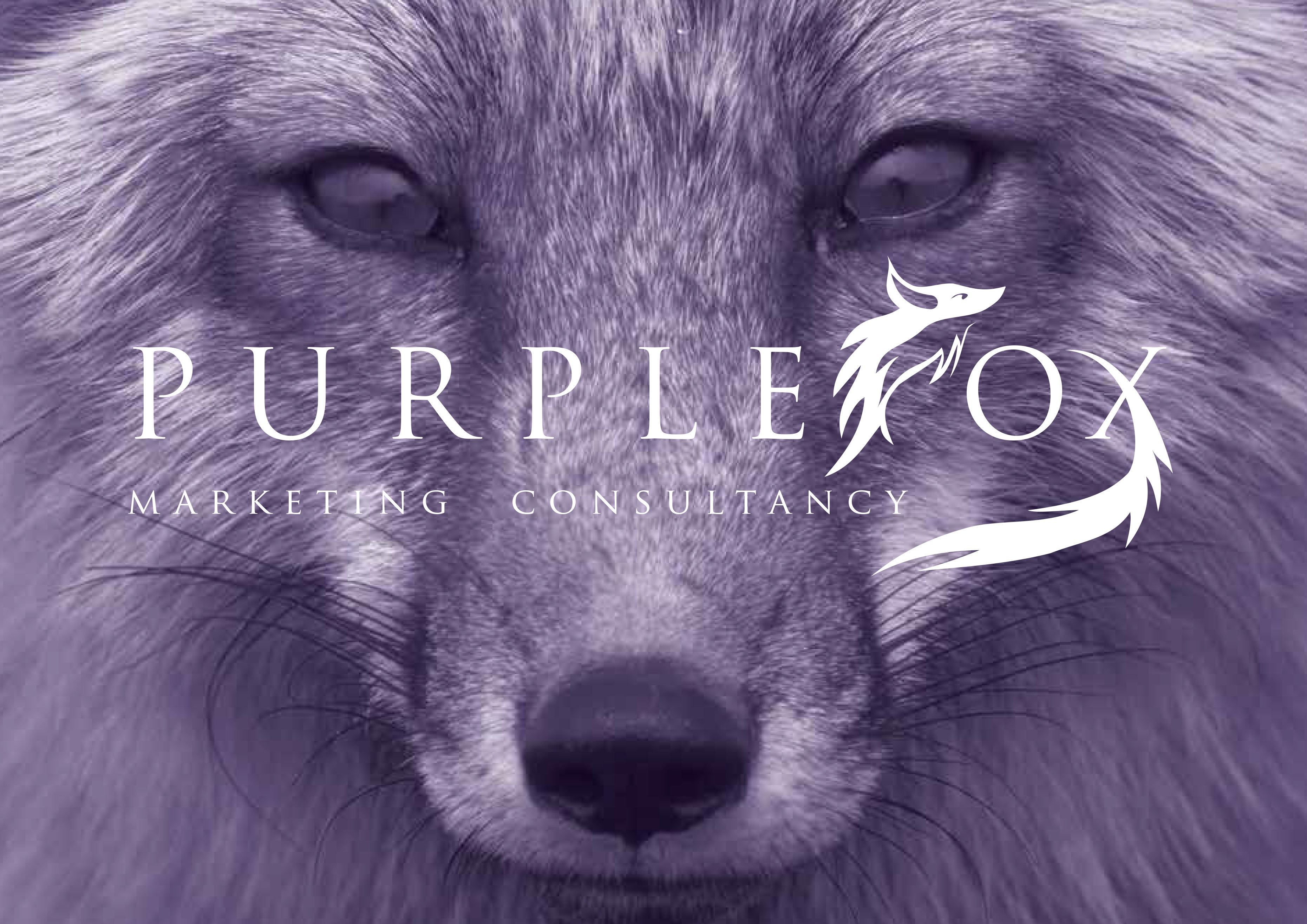 Purple Fox Business Card (front)