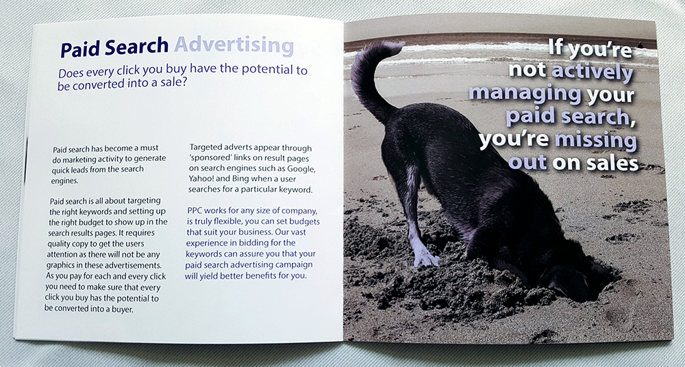 Purple Fox Marketing booklet - inside spread