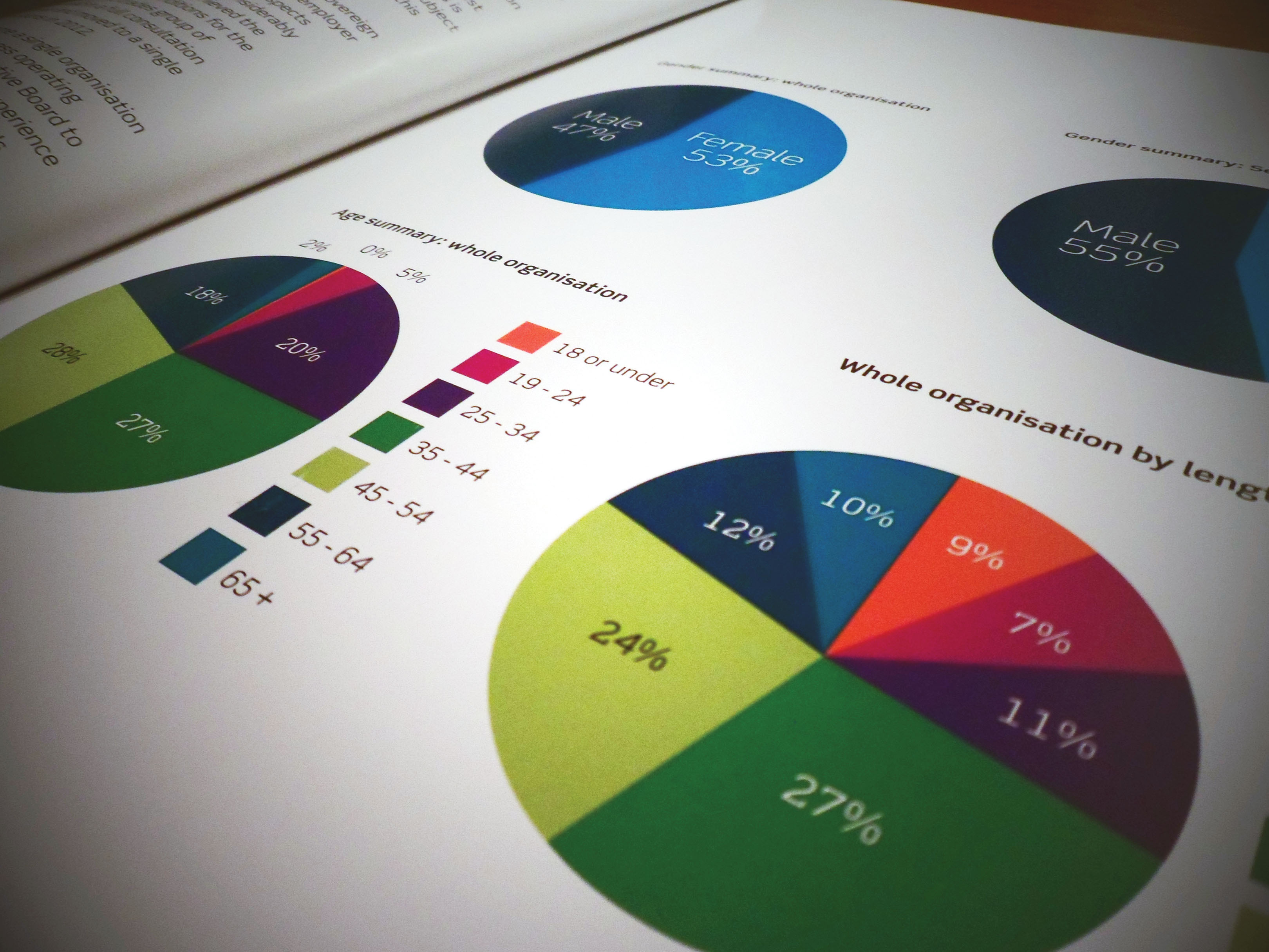 Close up of Annual Report - graphs